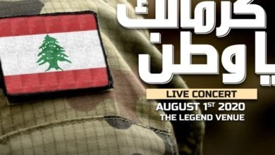 صورة توضيحية - كرمالك يا وطن من لبنان إلى العالم ألف شكر للجيش اللبناني