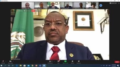 صورة توضيحية - تحت رعاية جامعة الدول عقدت اليوم المنظمة للطيران المدني ورشة عمل حول استعادة ثقة المسافر وسعادة السفير الدكتور كمال حسين علي يطرح رؤيته