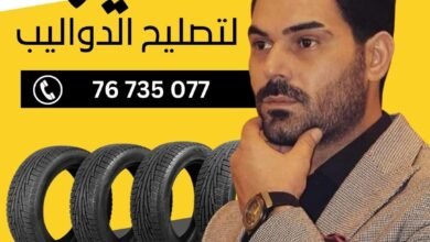 صورة توضيحية - المرشد السياحي مروان شمه يستعد لصيفية مميزة في لبنان