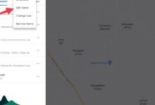 غوغل تعرض الاسمين لـ Lake Ontario خارج أميركا وكندا وفق بيان الشركة